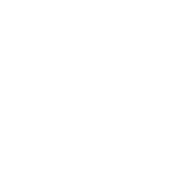 Your Voice Our Voice 2025